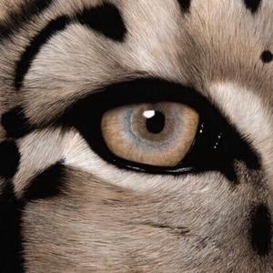 慈慈芬肥水不流外田的由来
