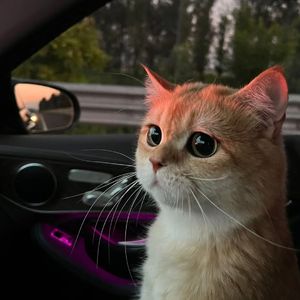 慈慈芬肥水不流外田的由来
